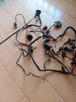 Cableado Yamaha TZR 50 Completo