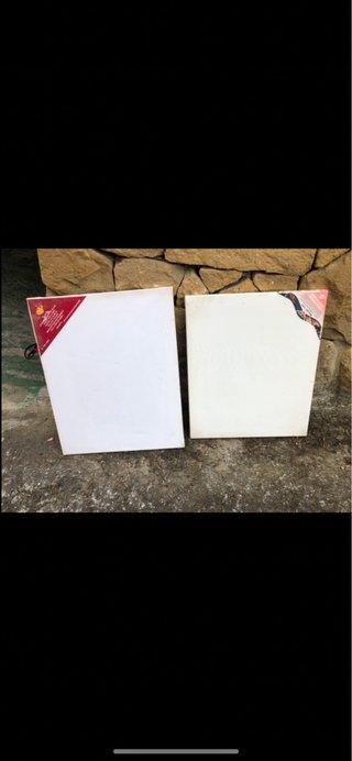 Pack Lienzos para Pintar