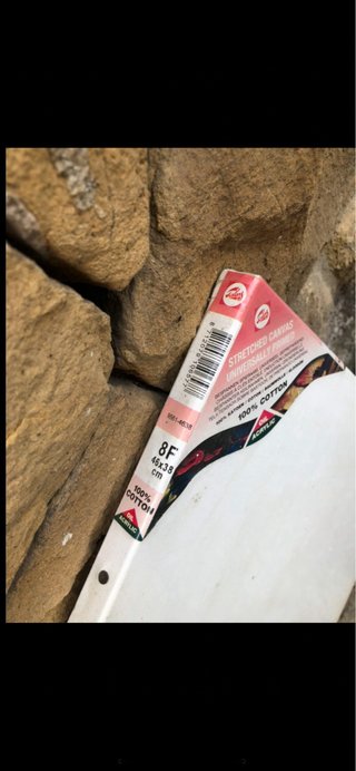 Pack Lienzos para Pintar