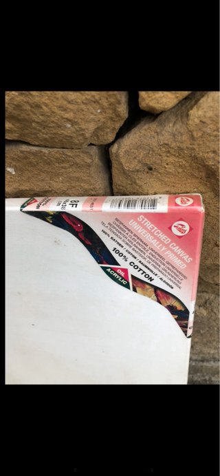 Pack Lienzos para Pintar