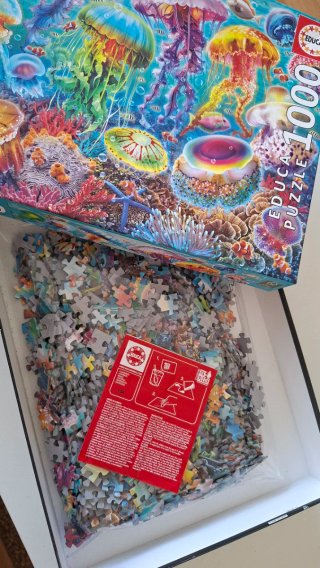 Pack 2 Puzzles Educa 1000 Piezas