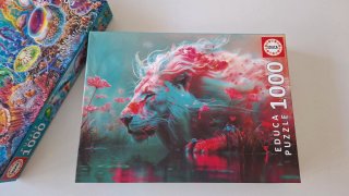 Pack 2 Puzzles Educa 1000 Piezas
