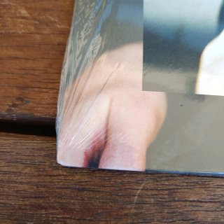 Robert Ellis - Vinile Nuovo West Records