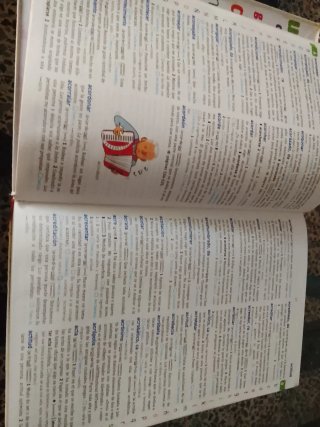 Diccionario básico de la lengua Española primaria