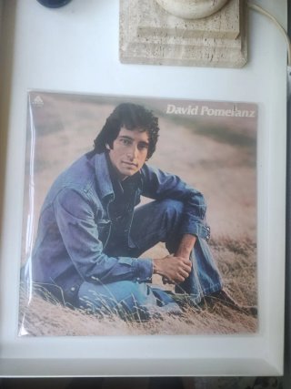Vinilo David Pomeranz - It's In Everyone Of Us