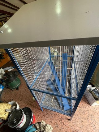 Jaula para pájaros