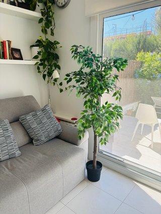 Planta Ficus Benjamina Artificial 170cm