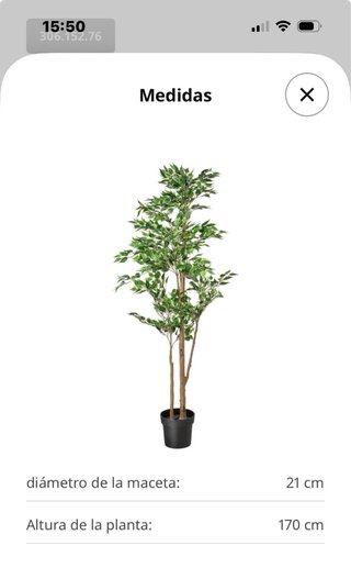 Planta Ficus Benjamina Artificial 170cm