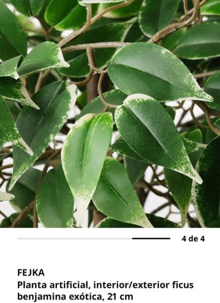 Planta Ficus Benjamina Artificial 170cm