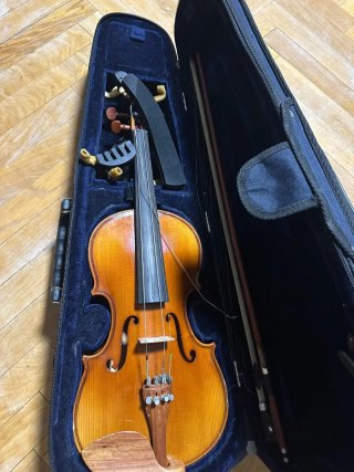 Violín 1/4 con estuche y 2 almohadillas