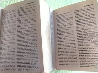 Mini Diccionario Español-Francés/Inglés-Español