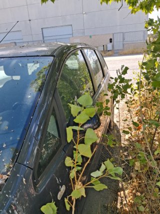 Ford Focus 2007