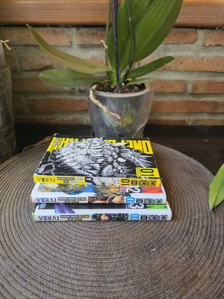 Mangas de One Punch Man del 1 al 3