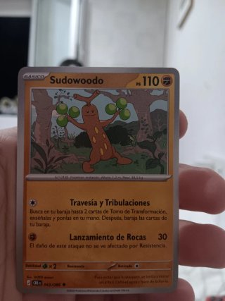 CARTAS POKEMON HOLOGRÁFICAS.