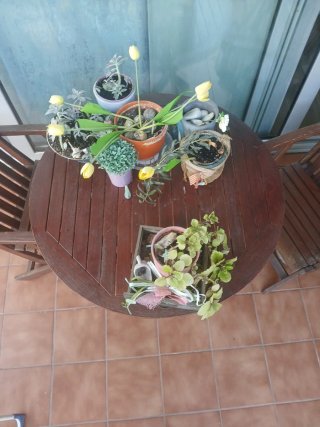 Conjunto mesa y 2 sillas de madera