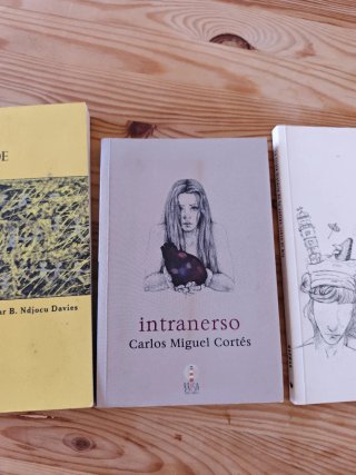 3 libros de poesía