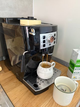Cafetera Delonghi Magnifica