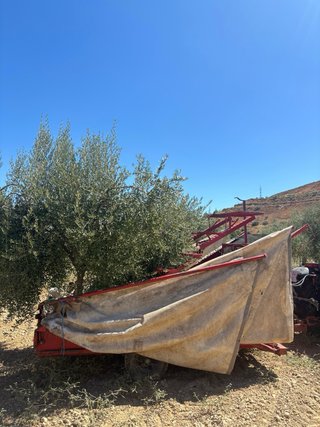 Paraguas recolector aceitunas tractor