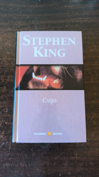 Lote de 2 libros de Stephen King