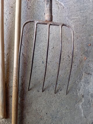Rastrillos y horca de jardín