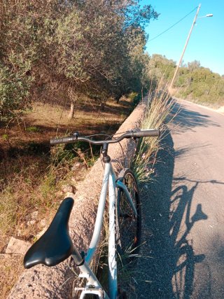 Bicicleta Btwin Riverside 120 XL 29 pulgadas