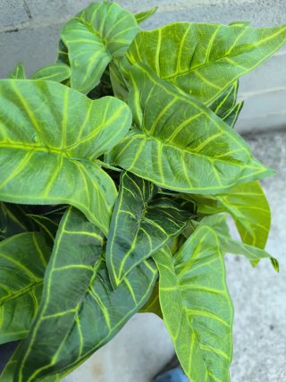 Planta Artificial Flores Verdes y Amarillas