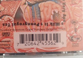 CD Nirvana In Utero
