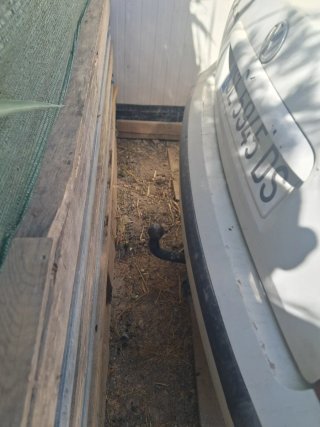 Despiece Volkswagen Passat