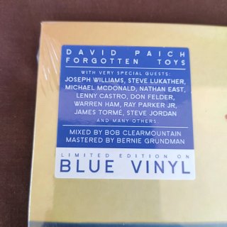 David Paich Forgotten Toys Vinile Colorato