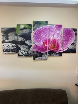 Cuadro Orquídea Rosa y Piedras