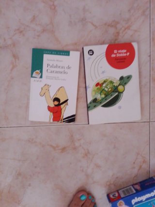 Libros para niños y adultos y juguetes