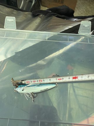 Señuelos de pesca