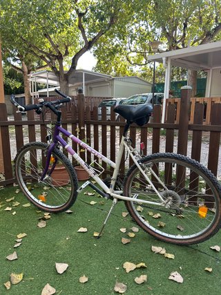 Bicicleta Scott Timber Mujer