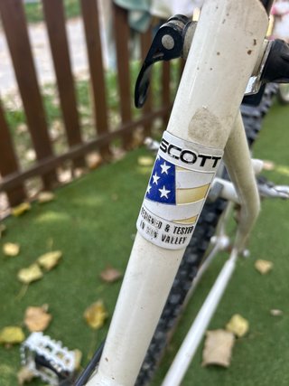 Bicicleta Scott Timber Mujer