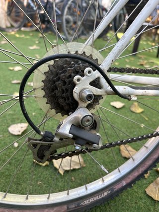 Bicicleta Scott Timber Mujer