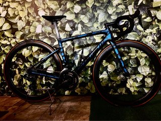 SPECIALIZED TARMAC SL6  ULTEGRA Di2 ROVAL CLX50