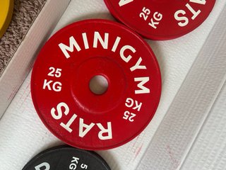 Pesas de juguete de madera Minigymrats NIÑA