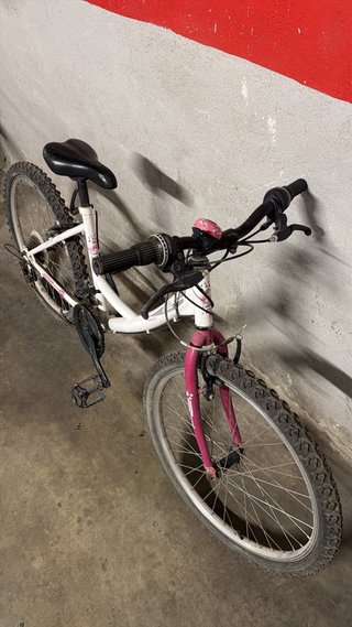 Bicicleta blanca y morada
