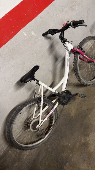 Bicicleta blanca y morada