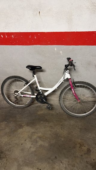 Bicicleta blanca y morada