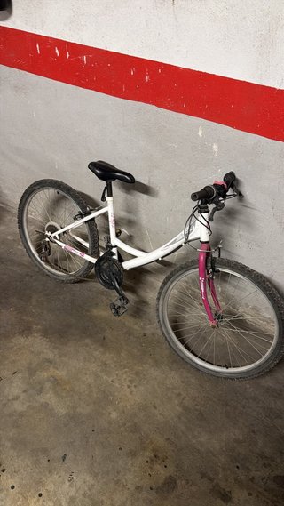 Bicicleta blanca y morada