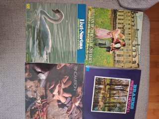 Lote 18 Vinilos Música Clásica