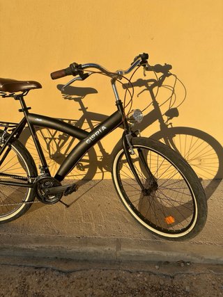 Bicicleta Gloria Negra