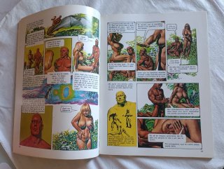 Comic DEN Nunca Nada - Richard Corben (1981)