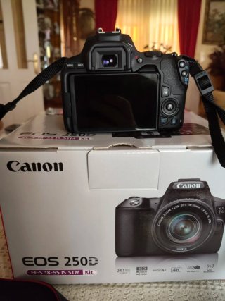 Canon EOS 250D