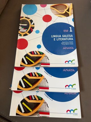 Lingua galega e literatura, ESO 1