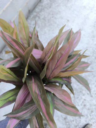 Planta Artificial Flores