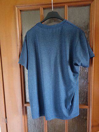 T-shirt tecnica The North Face Blu Melange