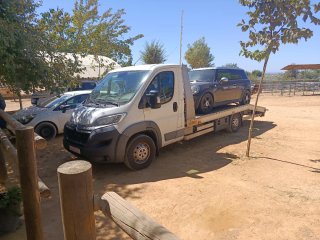 Grua porta coches