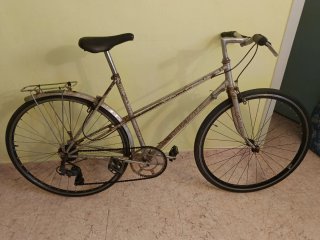 Bicicleta de paseo plateada